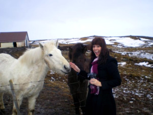 mehorse