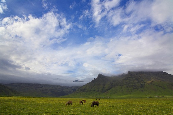 But still, summer in Iceland is one of the most magical experiences on earth
