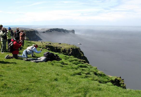 In summer, visitors head to the cliffs to see puffins up close